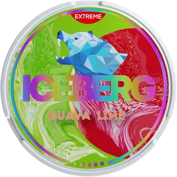 Iceberg17