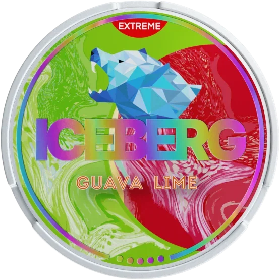 Iceberg17