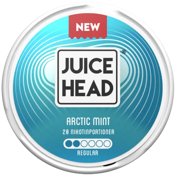 Juice Head Arctic Mint Regular