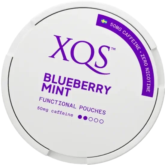 XQS Blueberry Mint Zero
