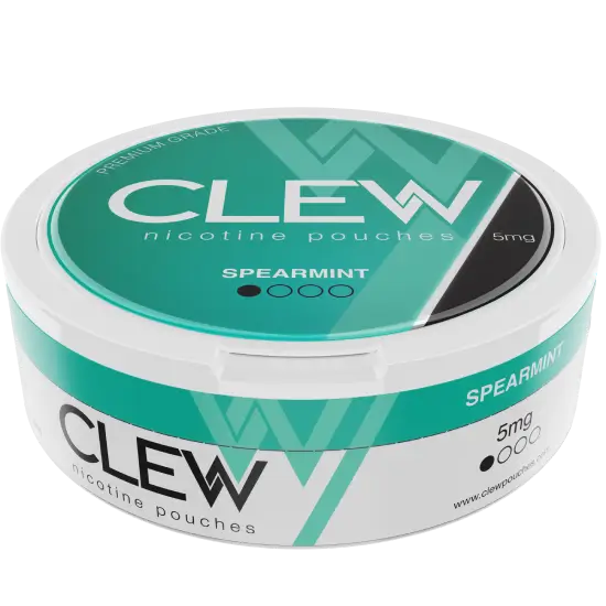 clew31