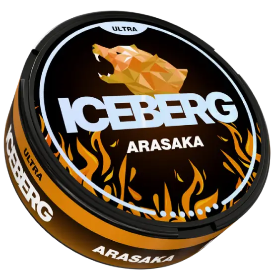 iceberg88