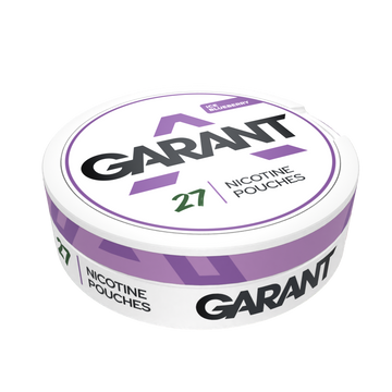 GARANT Ice Blueberry 20mg – Bild 1