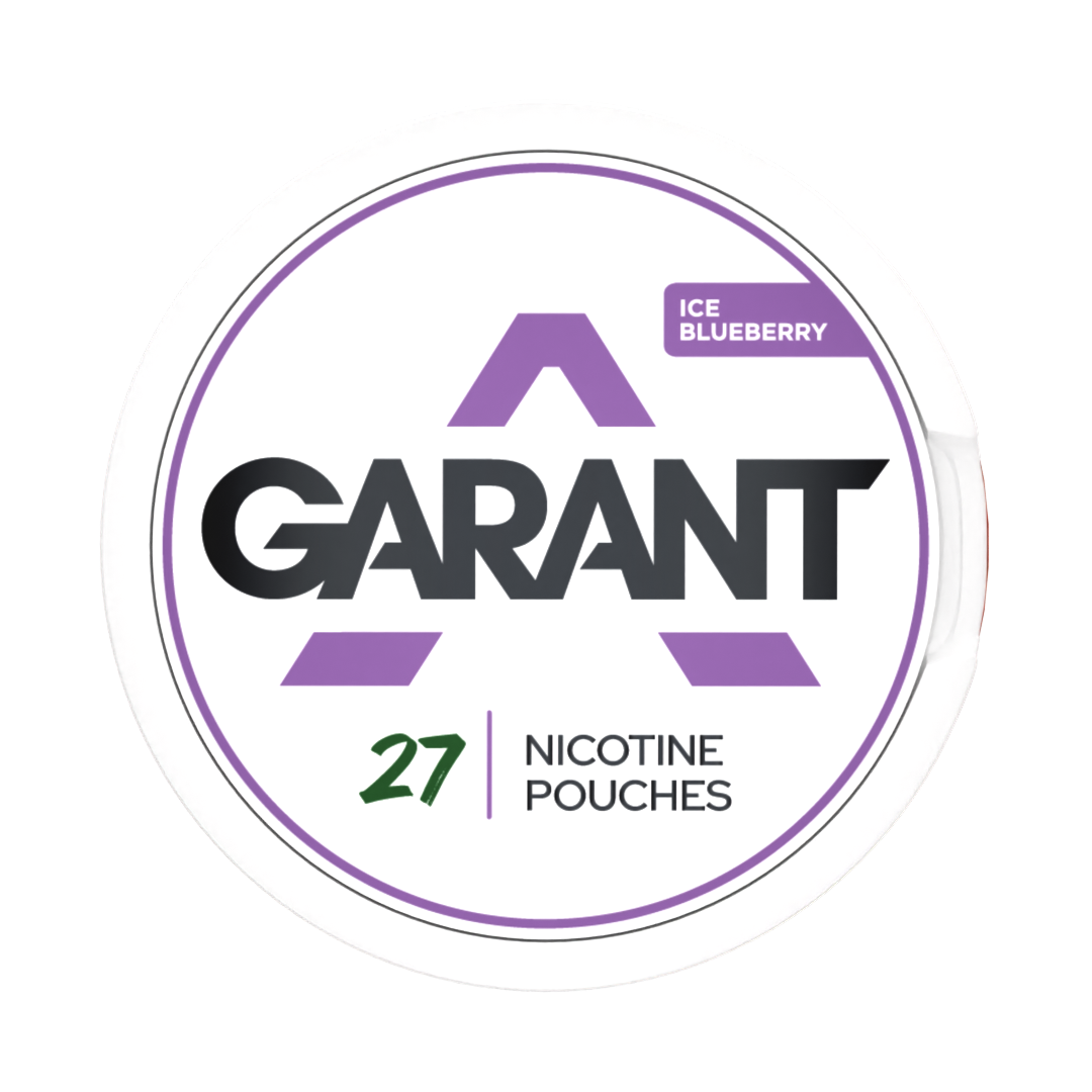 GARANT Ice Blueberry 20mg – Bild 2