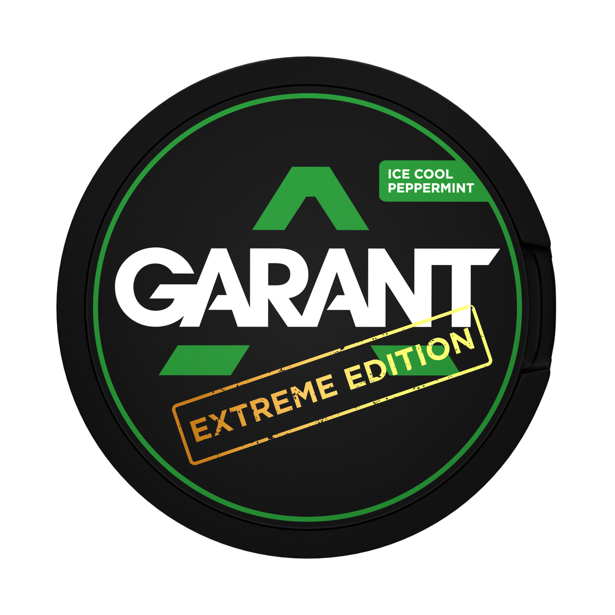 GARANT Ice Cool Peppermint Extreme – Bild 2