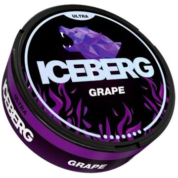 Iceberg96