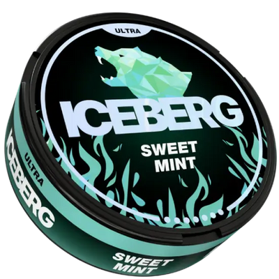 iceberg93