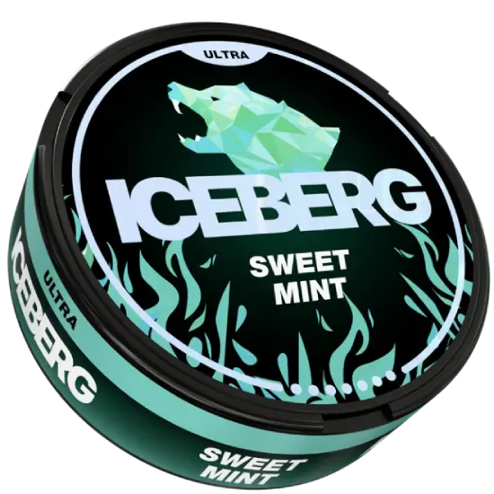 iceberg93