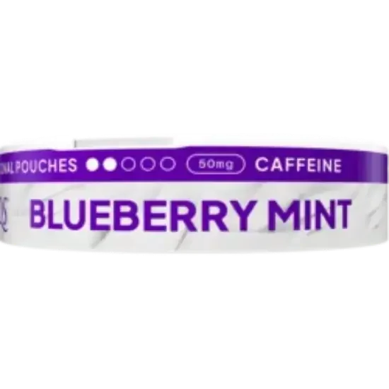 XQS Blueberry Mint Zero