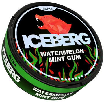 iceberg91