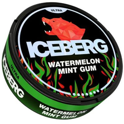 iceberg91